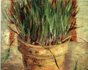 文森特 威廉 梵高 : 花盆中的细香葱